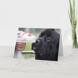Geburtstagskuchen und Hundekarte Karte