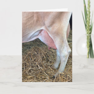 Geburtstagskuh auf Heu stehend Karte