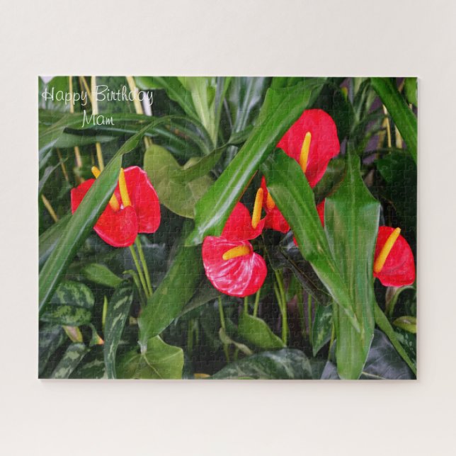 Geburtstagsmumie. Puzzle (Horizontal)