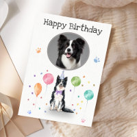 Geburtstagspartei Border Collie Hund Tierkarte