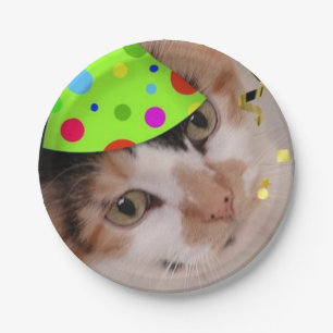 Geburtstagsparty Calico Pappteller