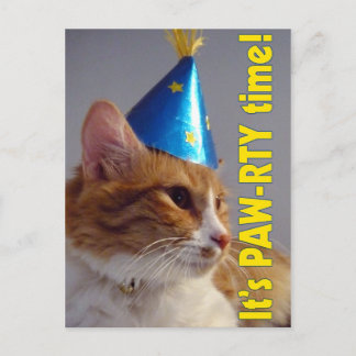 Geburtstagsparty-Einladung PAW-RTY Katze Postkarte