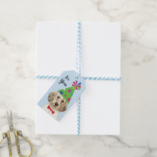 Geburtstagsparty Englisch Setter Geschenktasten Geschenkanhänger