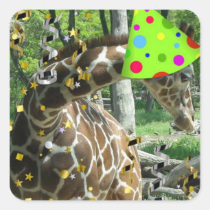 Geburtstagsparty Giraffe Quadratischer Aufkleber