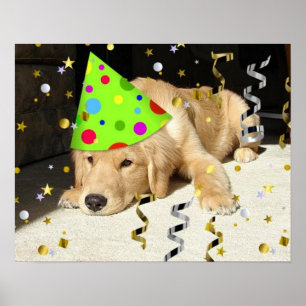 Geburtstagsparty Golden Retriever Poster
