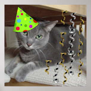 Geburtstagsparty Gray Cat Poster