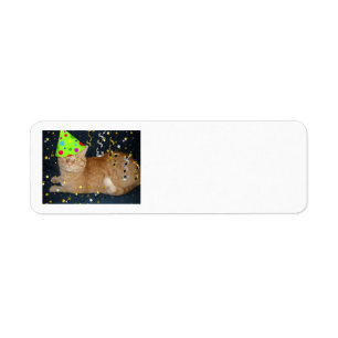 Geburtstagsparty Orange Tabby Cat