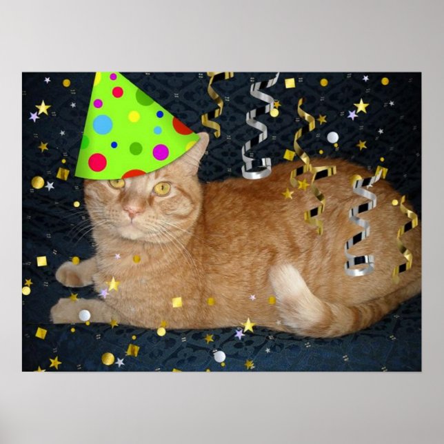 Geburtstagsparty Orange Tabby Cat Poster (Vorne)