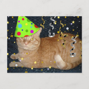 Geburtstagsparty Orange Tabby Cat Postkarte
