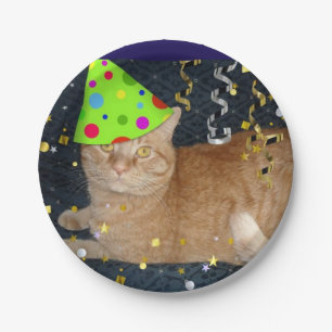 Geburtstagsparty Orange Tabby Pappteller