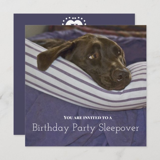 Geburtstagsparty Sleepy Dog Sleepover Einladung (Vorne/Hinten)