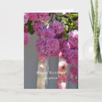 Geburtstagsrosen Zaun (Fotografie von mir)