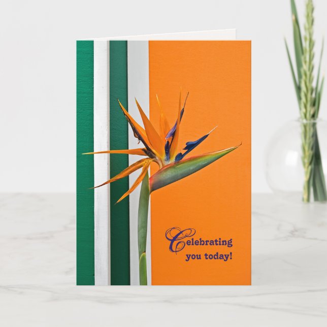 Geburtstagsvogel des Paradieses Karte (Vorderseite)