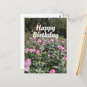 Geburtstagswunsch-Postkarte mit Garten aus rosa Ro Postkarte