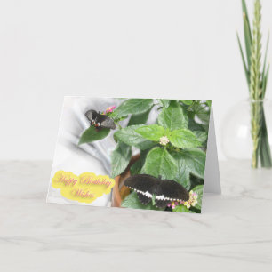 Geburtstagswünsche - Schmetterling Karte