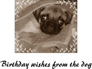 Geburtstagswunsche Vom Hund Geschenke Zazzle At