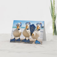 Geburtstagweiße Enten mit Schnorchelausrüstung