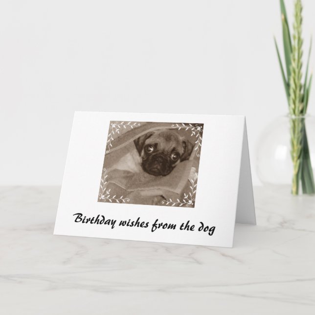 Geburtstagwünsche des Hundes Karte (Vorderseite)