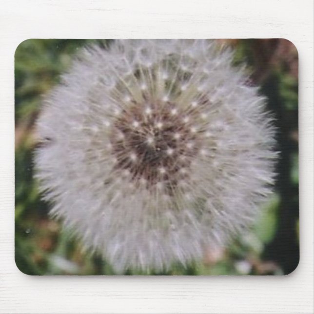 GECKIG MOUSEPAD (Vorne)