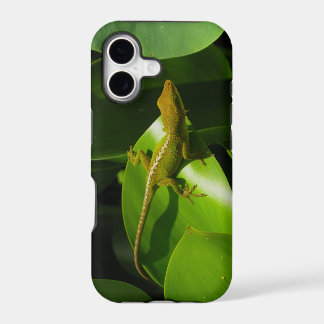 Gecko