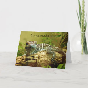 Gecko Abschluss Card Karte