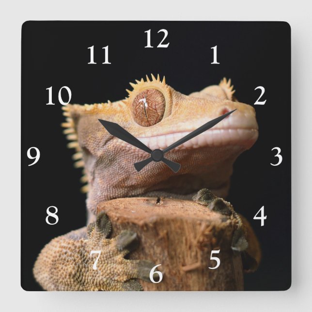 Gecko auf der schwarzen, großen Uhr (Vorderseite)