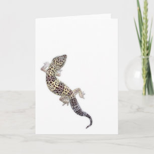 Gecko Card 01 Karte