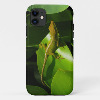 Gecko Case-Mate iPhone Hülle