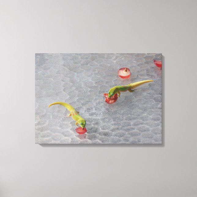 Gecko Cocktailstunde zweiteiliges Leinwand Set (Vorderseite)