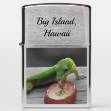 Gecko, der eine Traube leckt