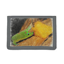 Gecko, der Pfirsiche genießt