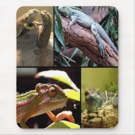 Gecko-Eidechsen und Chameleons Mousepad