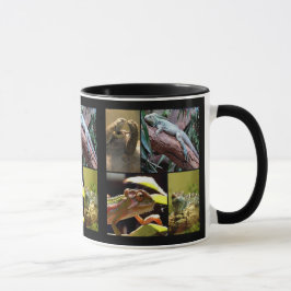 Gecko-Eidechsen und Chameleons Tasse