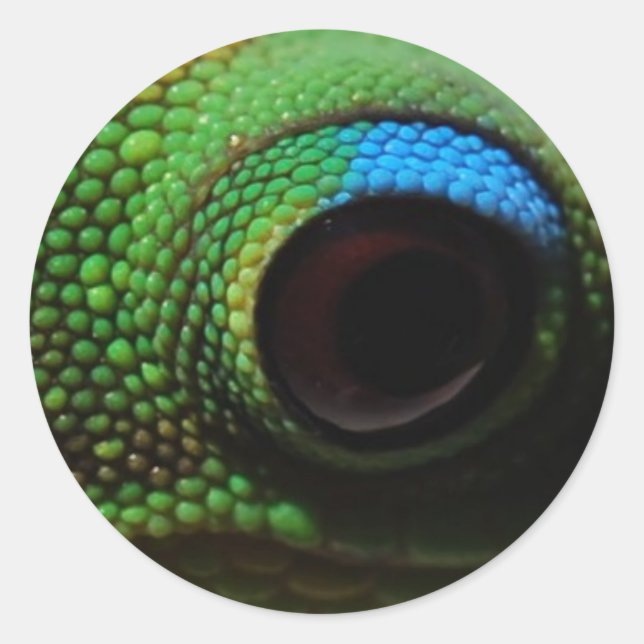 Gecko Eyeball Runder Aufkleber (Vorderseite)