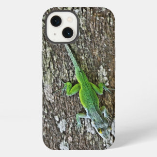 Gecko-Fall iPhone Hülle