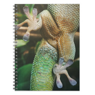Gecko Feet Notizblock