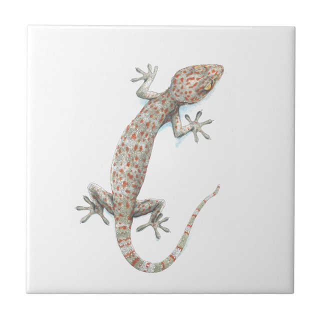 Gecko Fliese (Vorderseite)