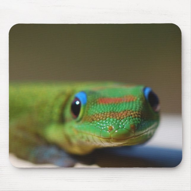 Gecko-Freund Mousepad (Vorne)