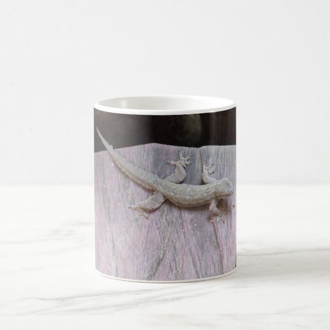Gecko-Gebiet Tasse (Mittel)