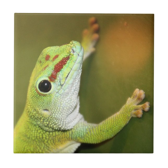 Gecko-Gesicht Fliese (Vorderseite)