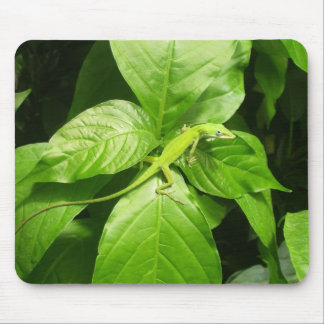 Gecko Mousepad