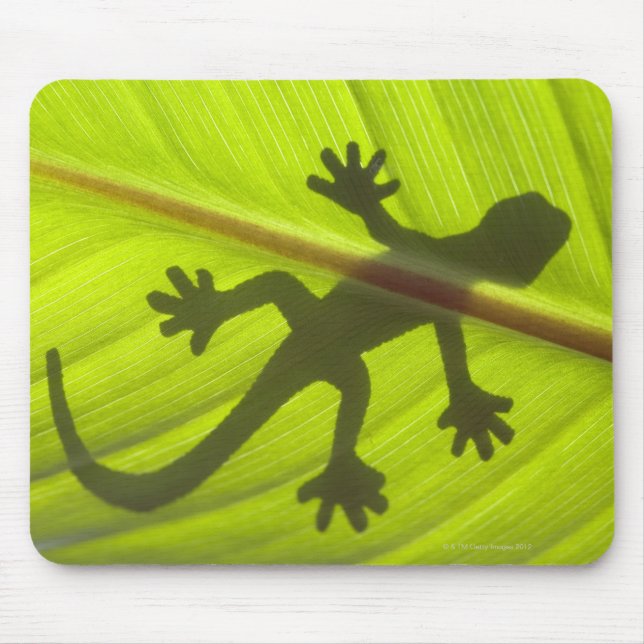 Gecko Mousepad (Vorne)