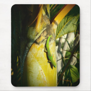 Gecko-Mousepad Mousepad