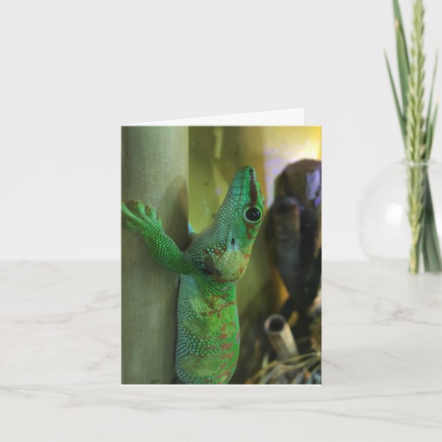 gecko notecard #2 (Förderung) Karte (Vorderseite)