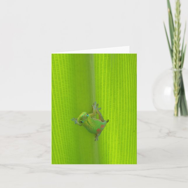 Gecko Notecard Karte (Vorderseite)