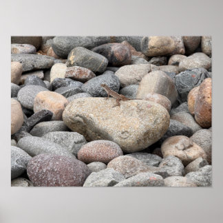 Gecko on the Rocks bitte Poster