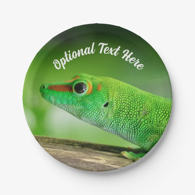 Gecko - Phelsuma grandis Pappteller (Vorderseite)