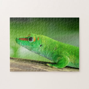 Gecko - Phelsuma grandis Puzzle