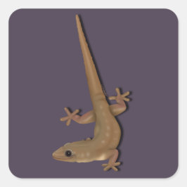 Gecko Quadratischer Aufkleber