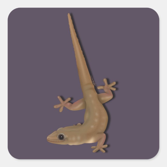 Gecko Quadratischer Aufkleber (Vorderseite)